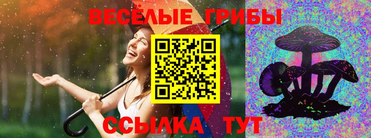 Галлюциногенные грибы мицелий  Вход с VPN  Железногорск 