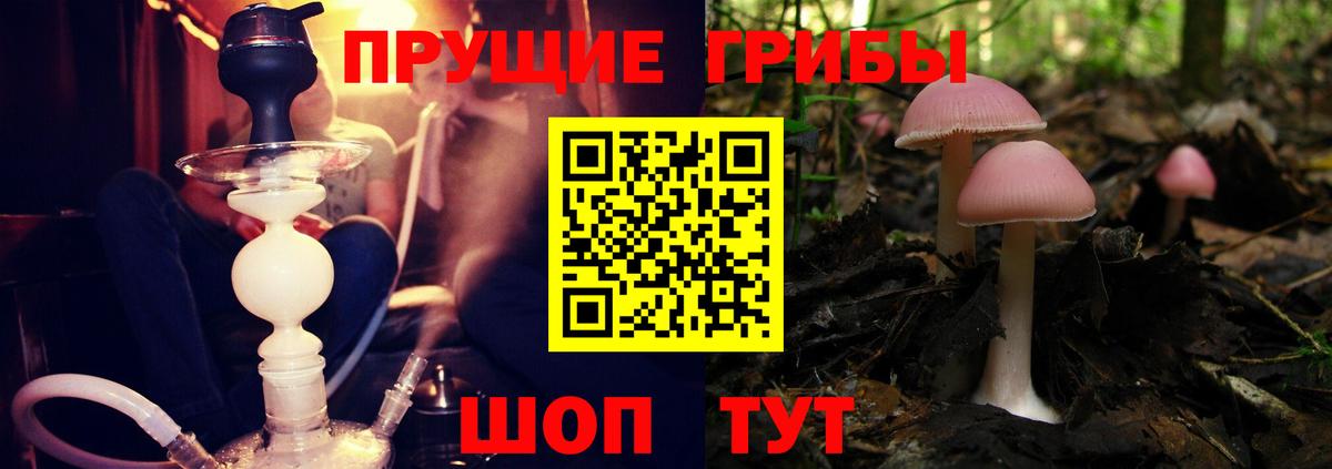 Галлюциногенные грибы мухоморы Железногорск